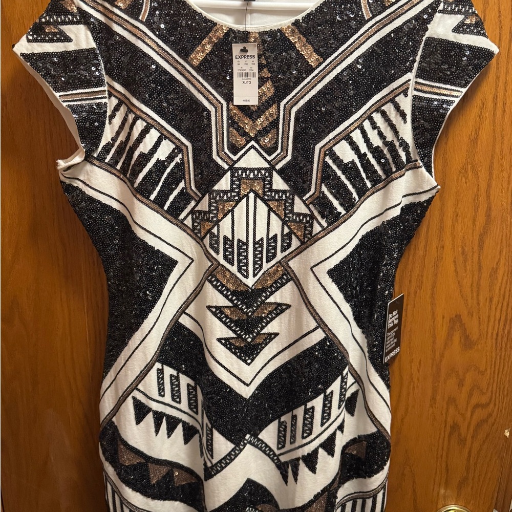 Express Geometric Sequin Dress